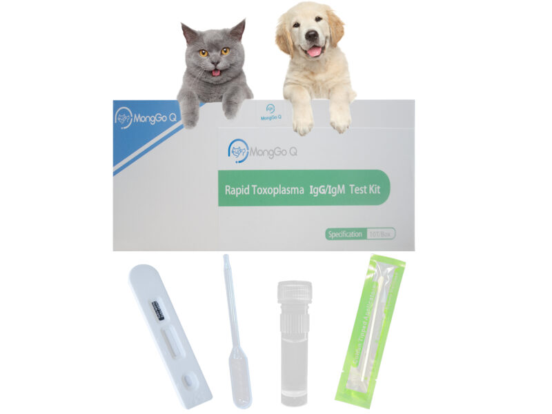 Smilecare MongGo Q Rapid Toxoplasma IgG/IgM Detection of Blood Testing Kit for Animals(Pack of 10)