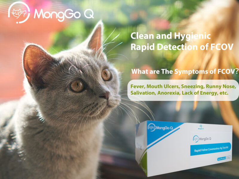 Smilecare MongGo Q Rapid FCOV Ag Detection of Feline Feces Testing Kit for Cats(Pack of 10)