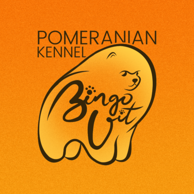 Pomeranian Kennel BINGO'VIT