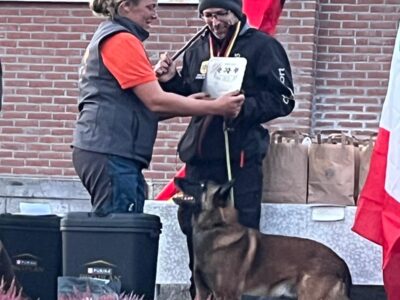 Belgian Shepherd Dog