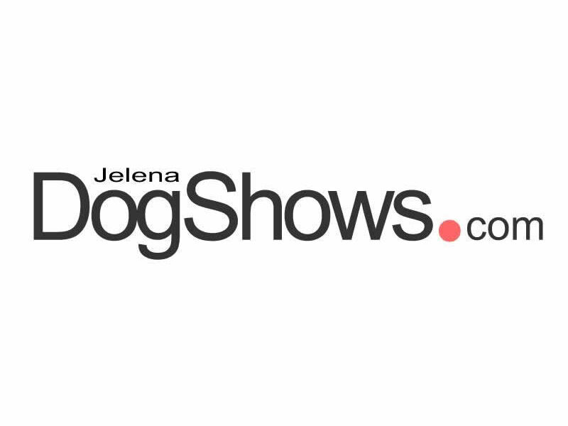 Wanted Airedale Terrier