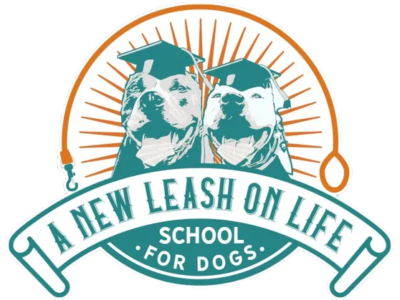 A New Leash on Life - School for Dogs