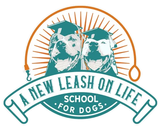 A New Leash on Life - School for Dogs